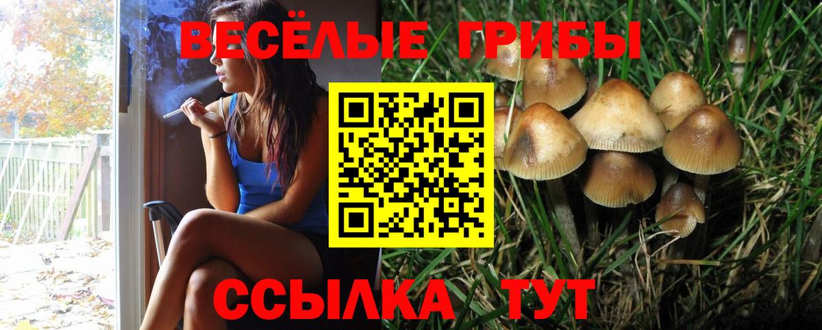 Североуральск  купить   Галлюциногенные грибы мицелий  Вход с VPN  Галлюциногенные грибы Psilocybe 