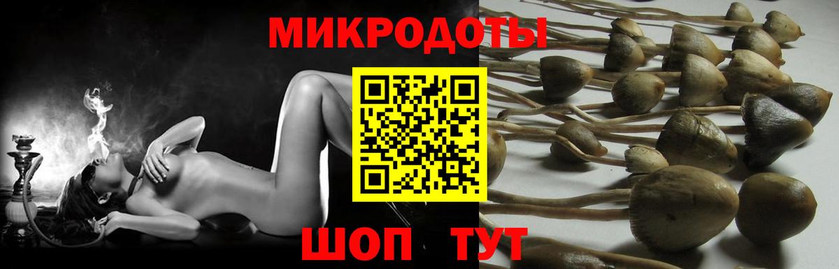 Псилоцибиновые грибы GOLDEN TEACHER Североуральск